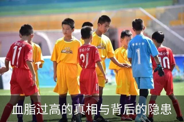 血脂过高的真相与背后的隐患